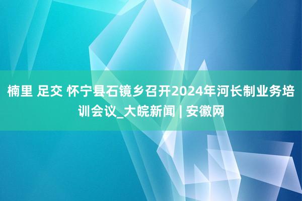 楠里 足交 怀宁县石镜乡召开2024年河长制业务培训会议_大皖新闻 | 安徽网