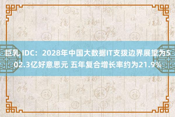 巨乳 IDC：2028年中国大数据IT支拨边界展望为502.3亿好意思元 五年复合增长率约为21.9%