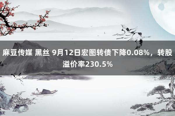 麻豆传媒 黑丝 9月12日宏图转债下降0.08%，转股溢价率230.5%