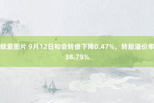 做爱图片 9月12日和会转债下降0.47%，转股溢价率38.79%