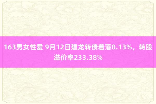 163男女性爱 9月12日建龙转债着落0.13%，转股溢价率233.38%