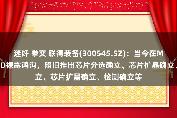 迷奸 拳交 联得装备(300545.SZ)：当今在Mini/MicroLED裸露鸿沟，照旧推出芯片分选确立、芯片扩晶确立、检测确立等