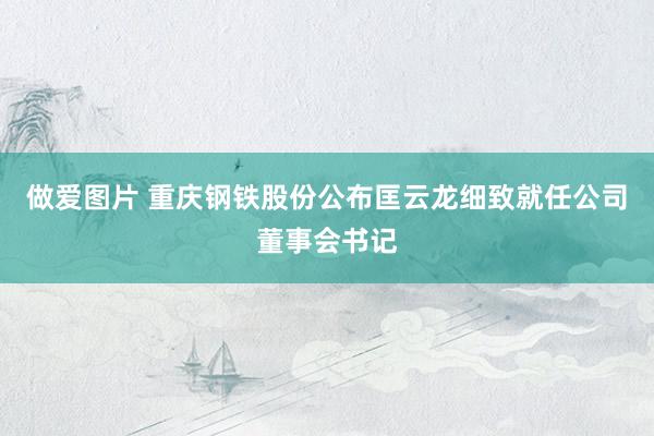 做爱图片 重庆钢铁股份公布匡云龙细致就任公司董事会书记