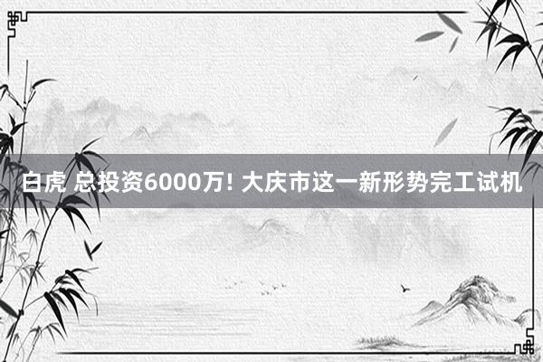 白虎 总投资6000万! 大庆市这一新形势完工试机