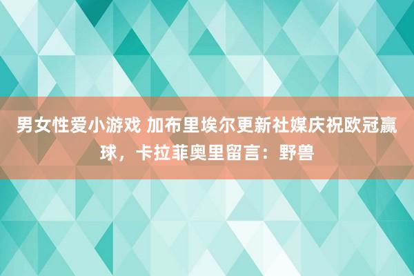 男女性爱小游戏 加布里埃尔更新社媒庆祝欧冠赢球，卡拉菲奥里留言：野兽