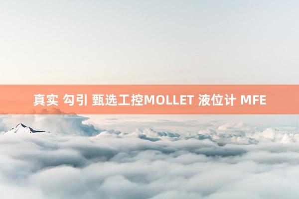 真实 勾引 甄选工控MOLLET 液位计 MFE