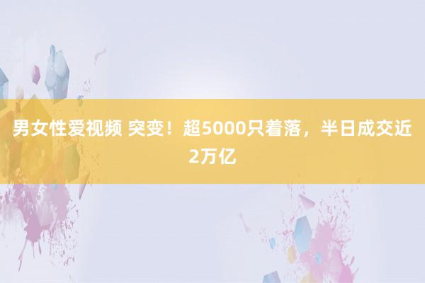 男女性爱视频 突变！超5000只着落，半日成交近2万亿