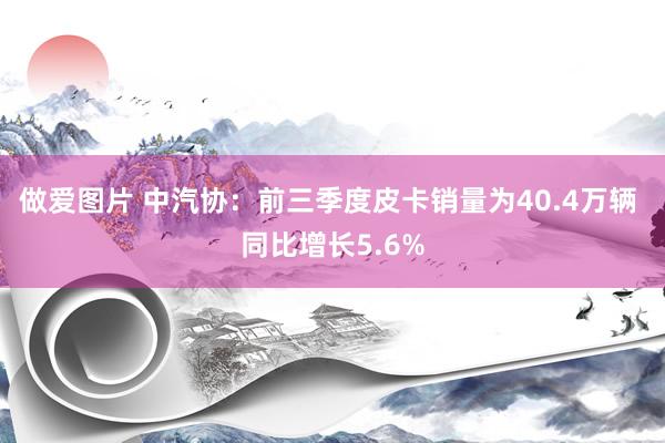 做爱图片 中汽协：前三季度皮卡销量为40.4万辆 同比增长5.6%