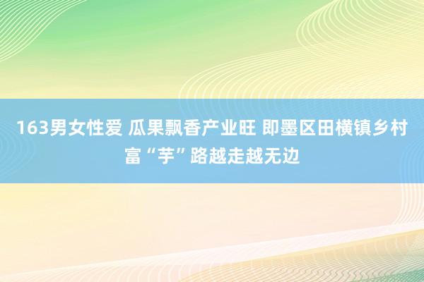 163男女性爱 瓜果飘香产业旺 即墨区田横镇乡村富“芋”路越走越无边