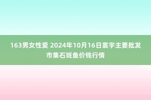 163男女性爱 2024年10月16日寰宇主要批发市集石斑鱼价钱行情