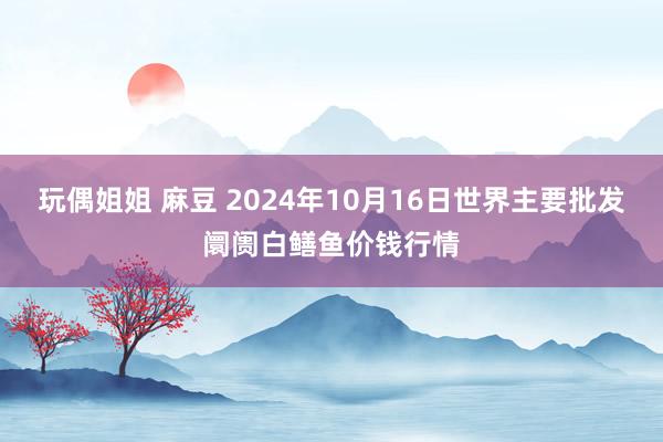 玩偶姐姐 麻豆 2024年10月16日世界主要批发阛阓白鳝鱼价钱行情