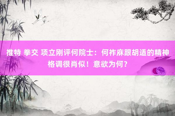 推特 拳交 项立刚评何院士：何祚庥跟胡适的精神格调很肖似！意欲为何？