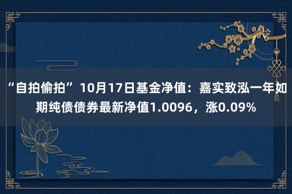 “自拍偷拍” 10月17日基金净值：嘉实致泓一年如期纯债债券最新净值1.0096，涨0.09%