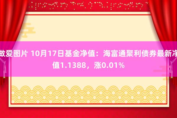 做爱图片 10月17日基金净值：海富通聚利债券最新净值1.1388，涨0.01%