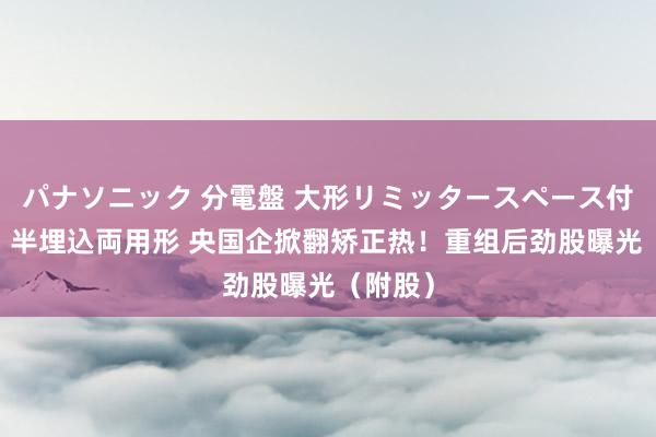 パナソニック 分電盤 大形リミッタースペース付 露出・半埋込両用形 央国企掀翻矫正热！重组后劲股曝光（附股）