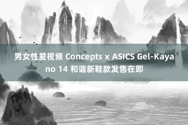 男女性爱视频 Concepts x ASICS Gel-Kayano 14 和谐新鞋款发售在即