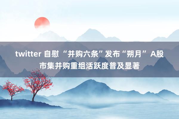 twitter 自慰 “并购六条”发布“朔月” A股市集并购重组活跃度普及显著