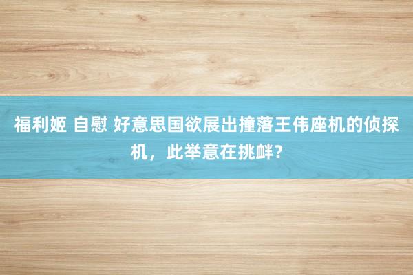 福利姬 自慰 好意思国欲展出撞落王伟座机的侦探机，此举意在挑衅？