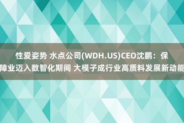 性爱姿势 水点公司(WDH.US)CEO沈鹏：保障业迈入数智化期间 大模子成行业高质料发展新动能