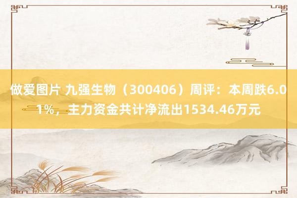 做爱图片 九强生物（300406）周评：本周跌6.01%，主力资金共计净流出1534.46万元