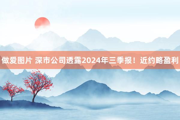 做爱图片 深市公司透露2024年三季报！近约略盈利