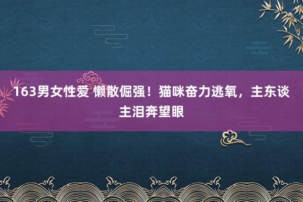 163男女性爱 懒散倔强！猫咪奋力逃氧，主东谈主泪奔望眼