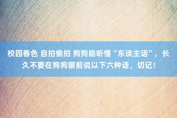 校园春色 自拍偷拍 狗狗能听懂“东谈主话”，长久不要在狗狗眼前说以下六种话，切记！