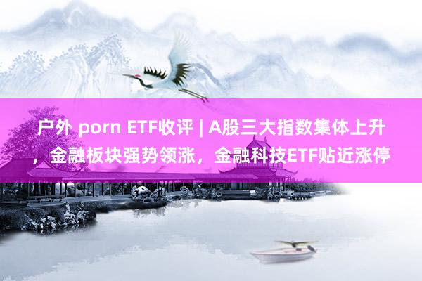 户外 porn ETF收评 | A股三大指数集体上升，金融板块强势领涨，金融科技ETF贴近涨停