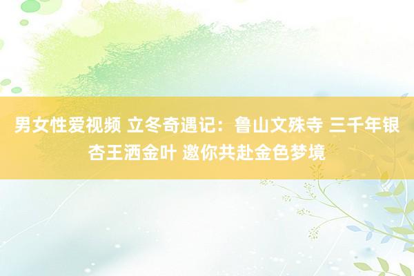 男女性爱视频 立冬奇遇记：鲁山文殊寺 三千年银杏王洒金叶 邀你共赴金色梦境