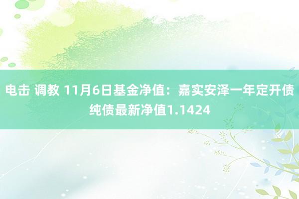 电击 调教 11月6日基金净值：嘉实安泽一年定开债纯债最新净值1.1424