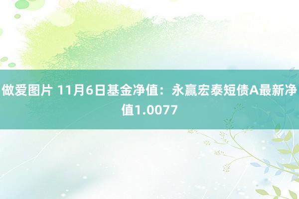 做爱图片 11月6日基金净值：永赢宏泰短债A最新净值1.0077