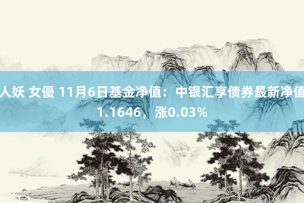 人妖 女優 11月6日基金净值：中银汇享债券最新净值1.1646，涨0.03%