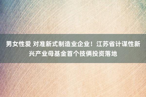 男女性爱 对准新式制造业企业！江苏省计谋性新兴产业母基金首个技俩投资落地