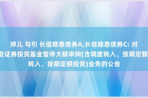 婷儿 勾引 长信稳惠债券A，长信稳惠债券C: 对于长信稳惠债券型证券投资基金暂停大额申购(含调度转入、按期定额投资)业务的公告