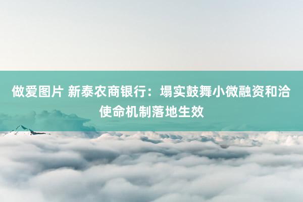 做爱图片 新泰农商银行：塌实鼓舞小微融资和洽使命机制落地生效