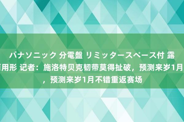 パナソニック 分電盤 リミッタースペース付 露出・半埋込両用形 记者：施洛特贝克韧带莫得扯破，预测来岁1月不错重返赛场