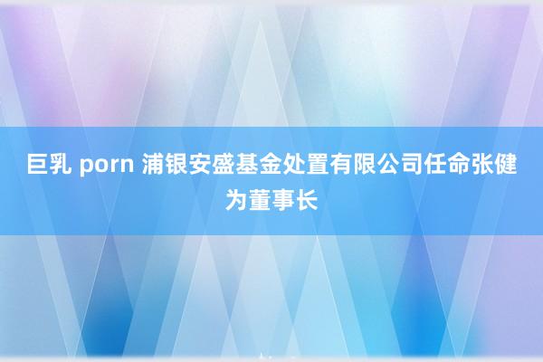 巨乳 porn 浦银安盛基金处置有限公司任命张健为董事长