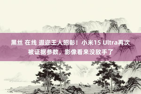 黑丝 在线 遐迩王人昭彰！小米15 Ultra再次被证据参数，影像看来没敌手了