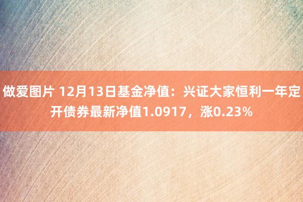 做爱图片 12月13日基金净值：兴证大家恒利一年定开债券最新净值1.0917，涨0.23%