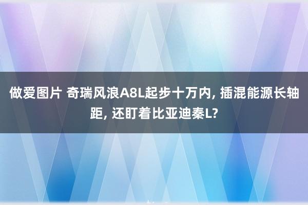 做爱图片 奇瑞风浪A8L起步十万内， 插混能源长轴距， 还盯着比亚迪秦L?