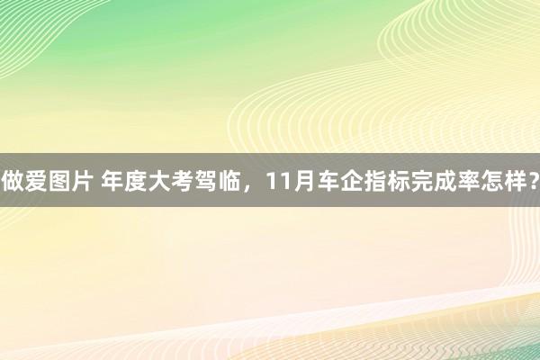 做爱图片 年度大考驾临，11月车企指标完成率怎样？