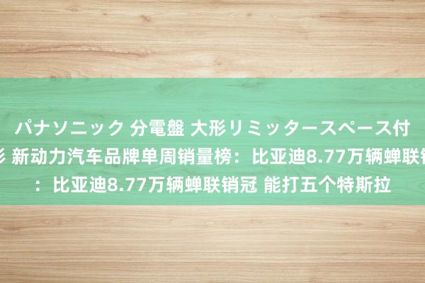 パナソニック 分電盤 大形リミッタースペース付 露出・半埋込両用形 新动力汽车品牌单周销量榜：比亚迪8.77万辆蝉联销冠 能打五个特斯拉