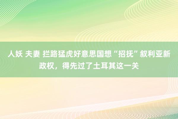 人妖 夫妻 拦路猛虎好意思国想“招抚”叙利亚新政权，得先过了土耳其这一关