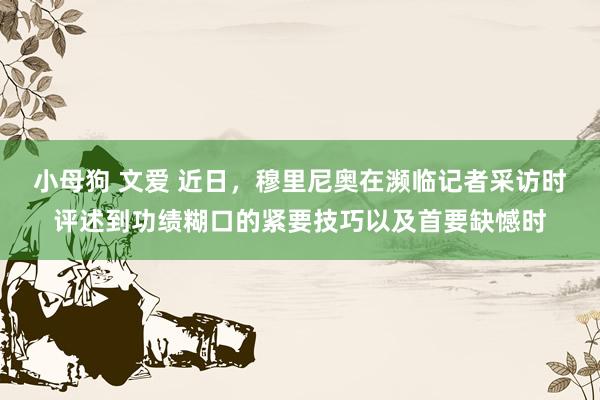 小母狗 文爱 近日，穆里尼奥在濒临记者采访时评述到功绩糊口的紧要技巧以及首要缺憾时