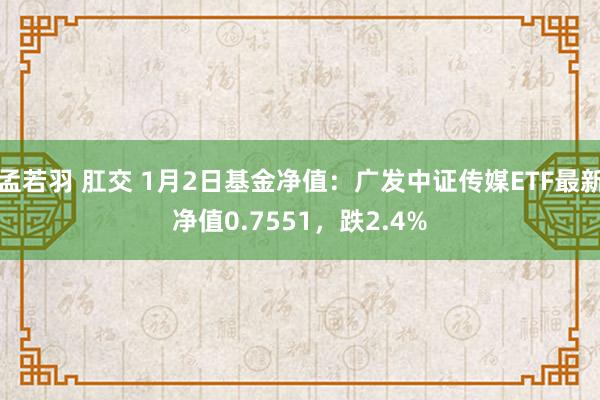 孟若羽 肛交 1月2日基金净值：广发中证传媒ETF最新净值0.7551，跌2.4%