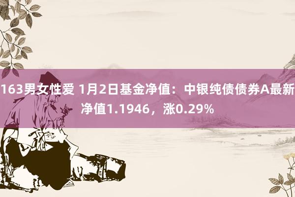 163男女性爱 1月2日基金净值：中银纯债债券A最新净值1.1946，涨0.29%