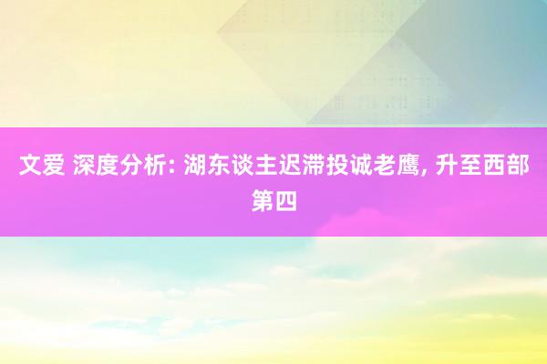 文爱 深度分析: 湖东谈主迟滞投诚老鹰， 升至西部第四