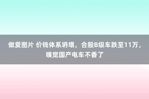 做爱图片 价钱体系坍塌，合股B级车跌至11万，嗅觉国产电车不香了