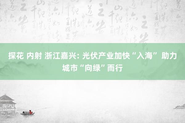 探花 内射 浙江嘉兴: 光伏产业加快“入海” 助力城市“向绿”而行