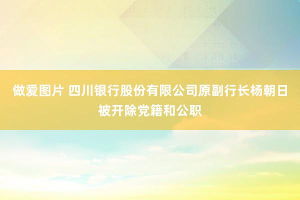 做爱图片 四川银行股份有限公司原副行长杨朝日被开除党籍和公职